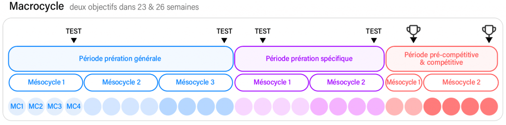 Planification d'entraînement